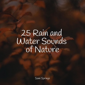 Обложка для Internal Yoga, Natural Rain Sounds for Sleeping, Brain Study Music Guys - Lofi Rain