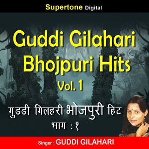Обложка для Guddi Gilahari - Jalidar Kurti