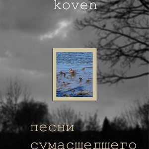 Обложка для koven - Если бы ты была звездой