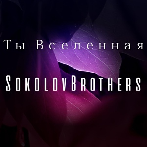 Обложка для SokolovBrothers - Нас Услышат Небеса