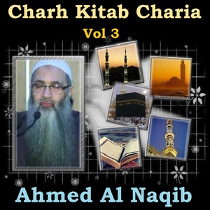 Обложка для Ahmed Al Naqib - Charh Kitab Charia, Pt.4