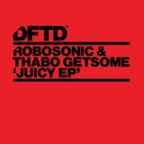 Обложка для [NFD™] Robosonic - Busted (Original Mix)