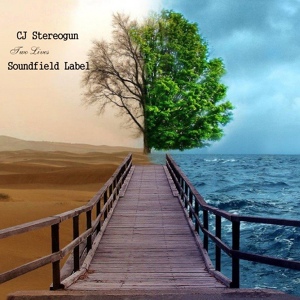 Обложка для CJ Stereogun - Sweet Dream