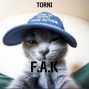 Обложка для Torni - Fak