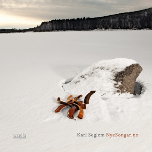 Обложка для Karl Seglem - Angular Momentum