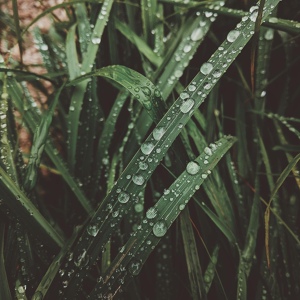 Обложка для Nature Sounds feat. Rain Thunder Sounds, Rain Sleep Sounds, Nature Recordings - White Noise Rain Sounds