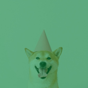 Обложка для качающийся Собачья музыка - Впечатление (Собаки)