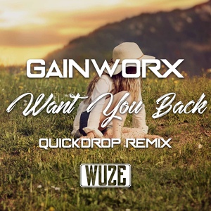 Обложка для Gainworx - Want You Back