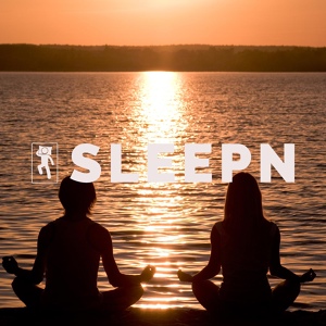 Обложка для SLEEPN - Ambient Night Forest