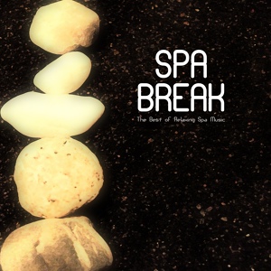 Обложка для Spa Music Dreams - Relaxation Music and Ambient Music for Spa Relaxation
