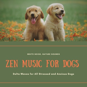 Обложка для Dog Leash - Ambient Music Therapy