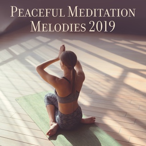 Обложка для Meditation Music Masters - Holy Meditation