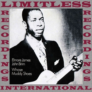 Обложка для Elmore James, John Brim - I See My Baby