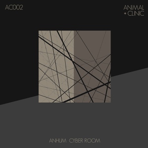 Обложка для Anhum - Cyber Room