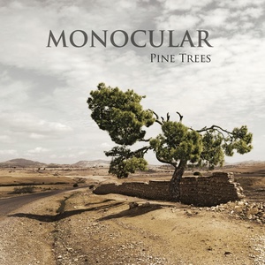 Обложка для Monocular - Pine Trees