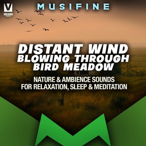 Обложка для Musifine - Distant Wind Blowing through Bird Meadow