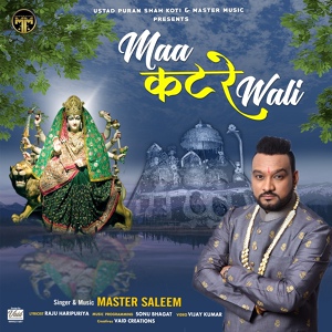 Обложка для Master Saleem - Maa Katre Wali