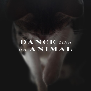 Обложка для Nother, Grecale - Dance Like an Animal