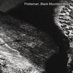 Обложка для Pickleman - Prime Suspect / Mendax / Trax