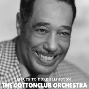 Обложка для The Cottonclub Orchestra - Cotton Club Stomp 2