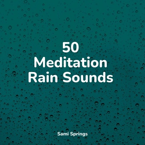 Обложка для Yoga Rain, Sounds of Nature Relaxation, Zona Música Relaxante - White Noise Roof Shed Rain