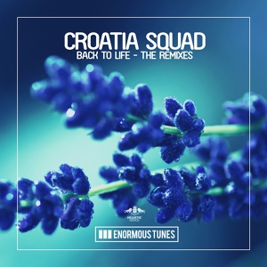 Обложка для Croatia Squad - Back to Life (Lesonic rmx)