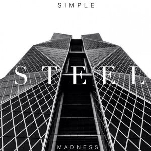 Обложка для Simple Madness - Steel