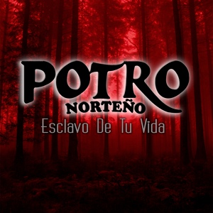 Обложка для Potro Norteño - Estilo Ranchero