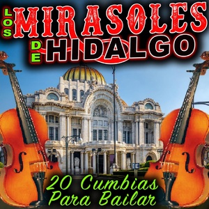 Обложка для Los Mirasoles De Hidalgo - Vengache Pa'ca