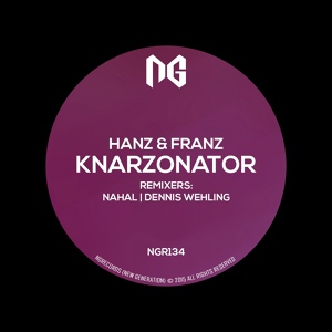 Обложка для Hanz Franz - Knarzonator (Dennis Wehling Remix)