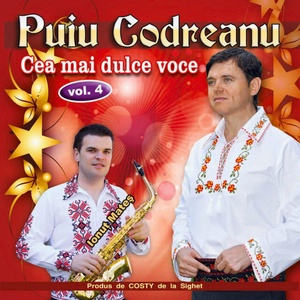 Обложка для Puiu Codreanu - Prietenii Mei