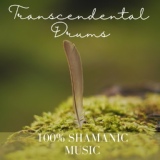 Обложка для Tribal Drums Ambient - Dark Shamanic Prayers
