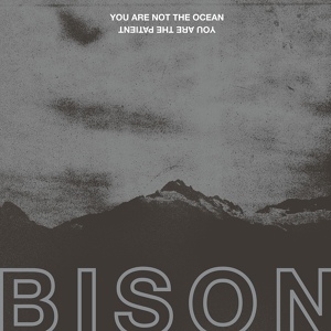 Обложка для Bison - Anti War