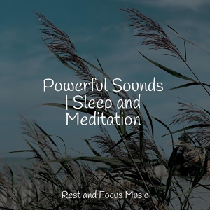 Обложка для Spa Zen, reiki tribe, Serenity Spa Music Relaxation - Calming Sounds