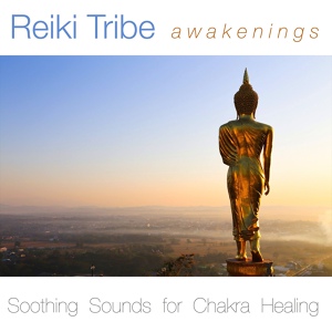 Обложка для Reiki Music Academy - Life Force (Healing Flute)