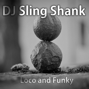 Обложка для DJ Sling Shank - Old School Funk Punisher