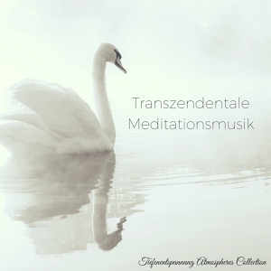 Обложка для Meditationsmusik Akademie - Tiefenentspannung Atmospheres