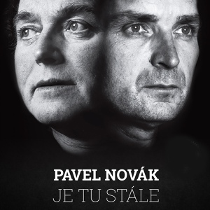 Обложка для Pavel Novák - Asi