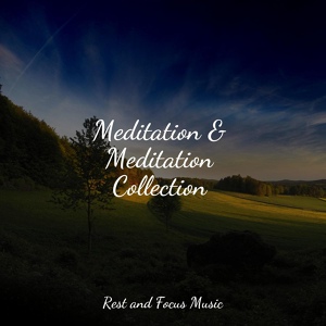 Обложка для Relaxation Music Guru, Reiki Music, Sleep Meditation Dream Catcher - Deep Breaths