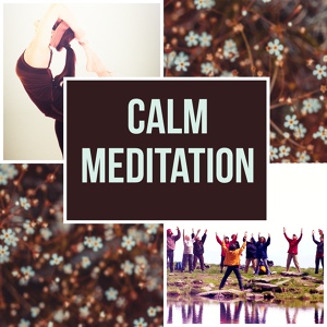 Обложка для Healing Yoga Meditation Music Consort - Relaxation Soundscapes