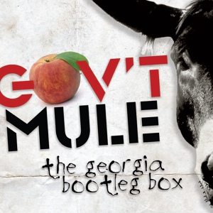 Обложка для Gov't Mule - Game Face