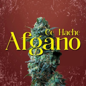 Обложка для CE HACHE - Afgano