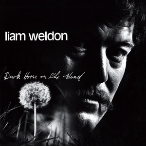 Обложка для Liam Weldon - The Blue Tar Road