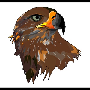 Обложка для Eagle Vision - Chill