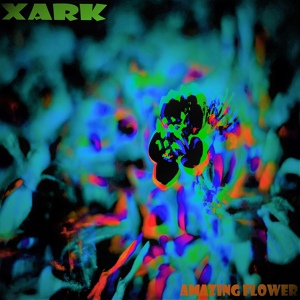 Обложка для Xark - My Head Is On Fire