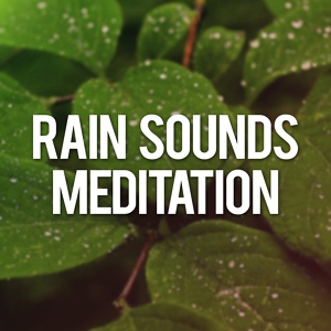 Обложка для Rain Sounds - Relaxing Rain