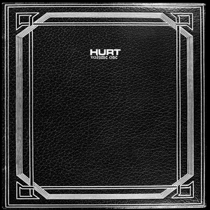 Обложка для Hurt - House Carpenter