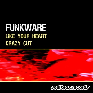Обложка для Funkware - Crazy Cut