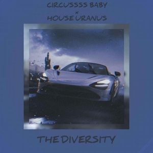 Обложка для CIRCUSSSS BABY feat. House Uranus - The Diversity