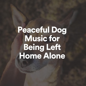 Обложка для Dog Music Experience - Peaceful Dog Music for Being Left Home Alone, Pt. 6